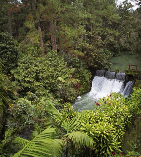 Waterfall in the rainforest or jungle, Santa Cruz Verapaz, Alta Verapaz Department, Guatemala