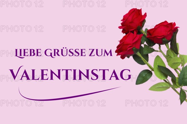 Valentine greetings: roses and text GREETINGS FOR VALENTINE'S DAY on a pastel pink background