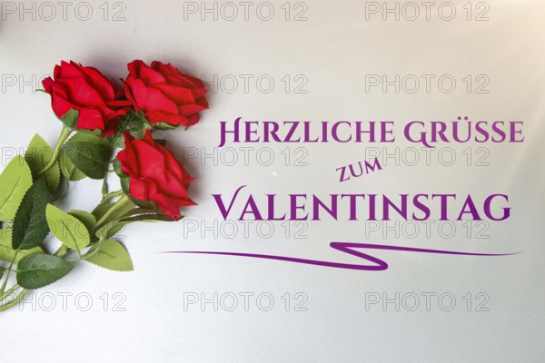 Valentine greetings: roses and text HAPPY VALENTINE'S DAY on a light grey background