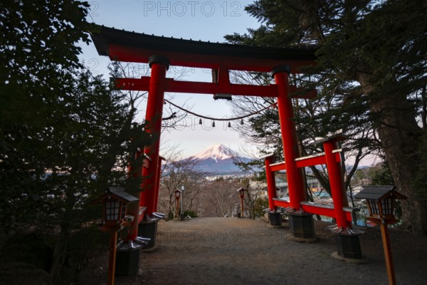 View through red torii of Mount Fuji volcano at sunrise, Arakura Fuji Sengen Shrine, Arakurayama Sengen Park, Yamanashi Prefecture, Japan