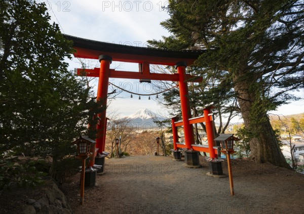 View through red torii of Mount Fuji volcano, Arakura Fuji Sengen Shrine, Arakurayama Sengen Park, Yamanashi Prefecture, Japan