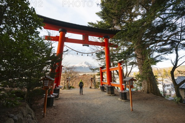 Tourist standing under red torii overlooking Mount Fuji volcano, Arakura Fuji Sengen Shrine, Arakurayama Sengen Park, Yamanashi Prefecture, Japan