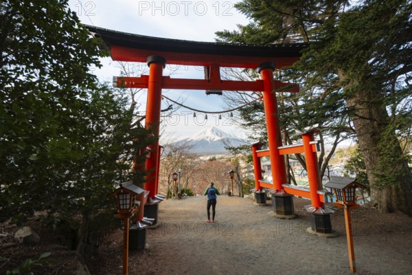 Female tourist standing under red torii with a view of Mount Fuji volcano, Arakura Fuji Sengen Shrine, Arakurayama Sengen Park, Yamanashi Prefecture, Japan
