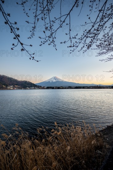Lake Kawaguchi, view of Mount Fuji volcano at sunset, Yamanashi Prefecture, Japan