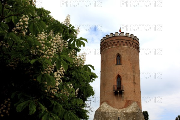 Part of the princely court with the Chindia Tower, in Targoviste, once the residence of Wallachian princes, including Vlad III Dracula, better known as Vlad the Impaler, Wallachia region, Romania