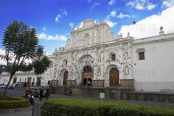 Swarm of pigeons at the Cathedral of Antigua Guatemala, Catedral de San José, Old Town, Antigua, Sacatepéquez Department, Guatemala