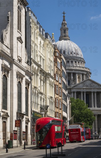 Red double-decker buses on Lugate Hill Street with historic buildings and the dome of St. Paul's Cathedral in the background, London, England, Great Britain