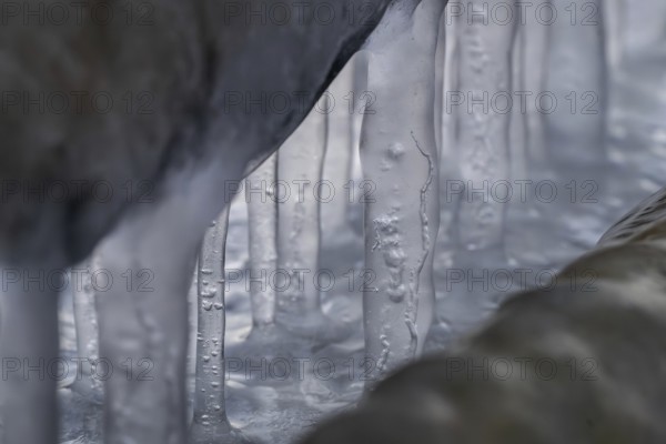 Close-up of ice structures and icicles, winter, Korpoström, Korpo or Korppo, southwestern archipelago, Finland