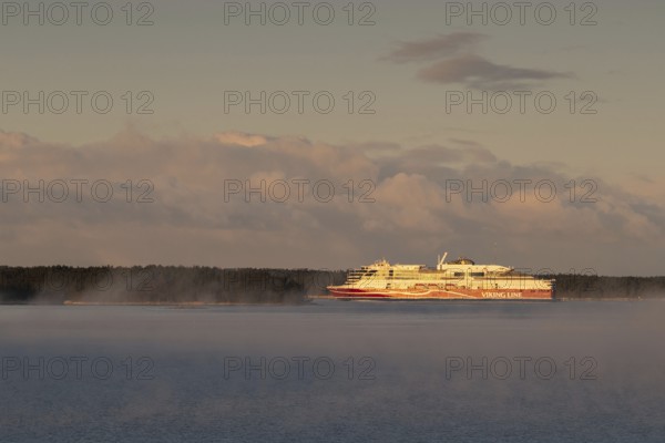 Large Viking Line ferry sails on the calm sea near a wooded shore at sunrise, Korpoström, Korpo or Korppo, Southwestern Archipelago, Finland