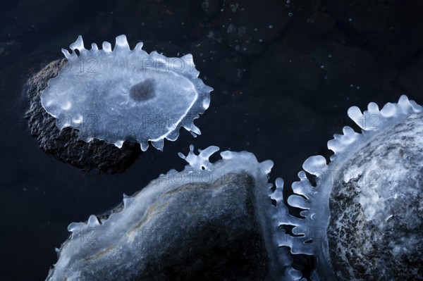 Ice-clad stones in water form unique, abstract shapes, winter, Korpoström, Korpo or Korppo, southwestern archipelago, Finland