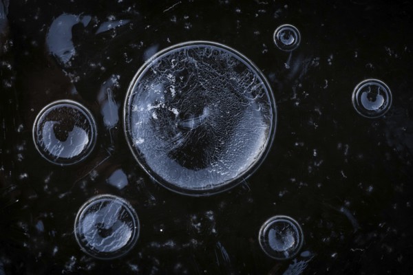 Abstract circular structures formed by air bubbles in the ice against a dark background, Korpostrom, Korpo or Korppo, southwestern archipelago, Finland