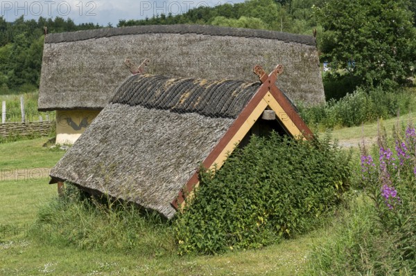 Reconstructed courtyard with nine houses built by a large farmer from the Viking Age, Fyrkat Viking Farm, Hobro, Denmark