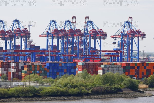 Containers are stored at the Burchardkai loading terminal with cranes on the Elbe in the Port of Hamburg, Hanseatic City of Hamburg, Germany