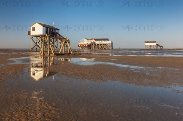Stilt houses on the beach at low tide, St. Peter-Ording, Schleswig-Holstein Wadden Sea National Park, Schleswig-Holstein, Germany