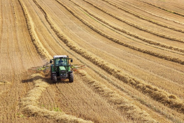Tractor in stubble field harvesting and turning straw, Saalekreis, Saxony-Anhalt, Germany