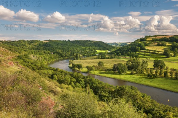 View of the river Saale in the Lower Saale Valley nature park Park, Rothenburg, Saxony-Anhalt, Germany