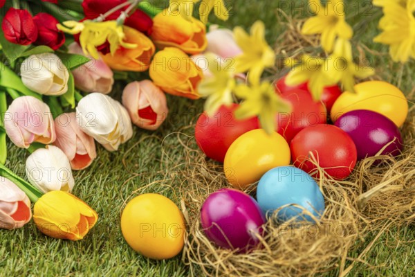 Colorful Easter eggs in a nest with surrounding tulips and spring flowers