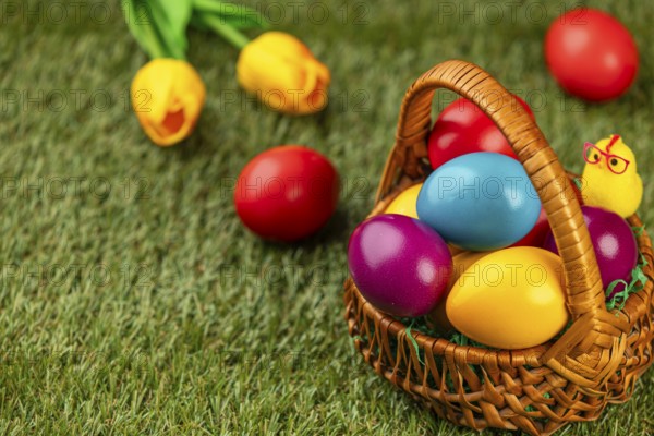 Colourful easter eggs in a basket in a meadow surrounded by flowers