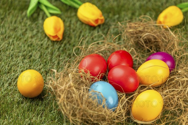 Colourful Easter eggs in nest on green grass surrounded by yellow tulips