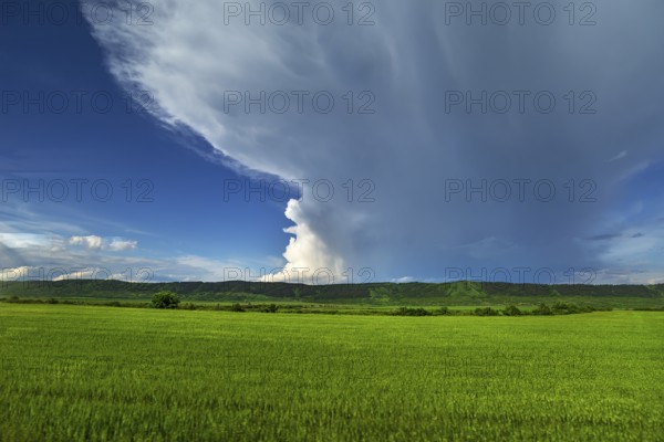 Landscape with gathering rain cloud (Nimbostratus), Southern Carpathian Arc, Romania