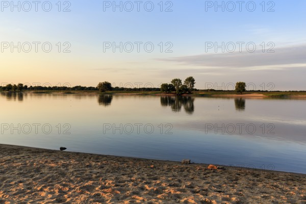 UNESCO Elbe River Landscape Biosphere Reserve, Lower Saxony Elbe floodplain, riverbank with beach, evening light, Bleckede, Germany