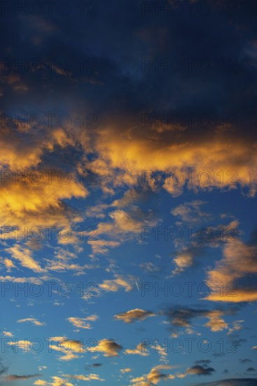 Aircraft contrails with red clouds, sunrise, Upper Austria