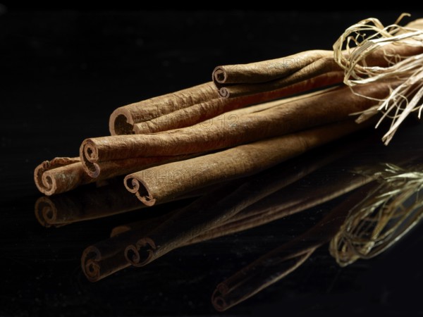 Several cinnamon sticks (Cinnamomum sp.) in front of a black background, studio shot
