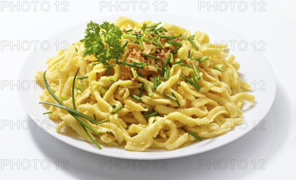 Plate with spaetzle decorated with roasted onions, chives and parsley, studio shot against a white background