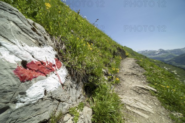 Trail marker on the Laufbacher-Eckweg, a demanding high-altitude hiking trail from Höfatsblick mountain station to Oytal, Allgäu Alps, Allgäu, Bavaria, Germany