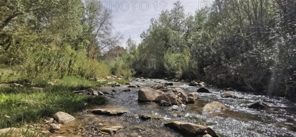Peaceful wilderness with a clear river surrounded by trees and lush vegetation, Morocco