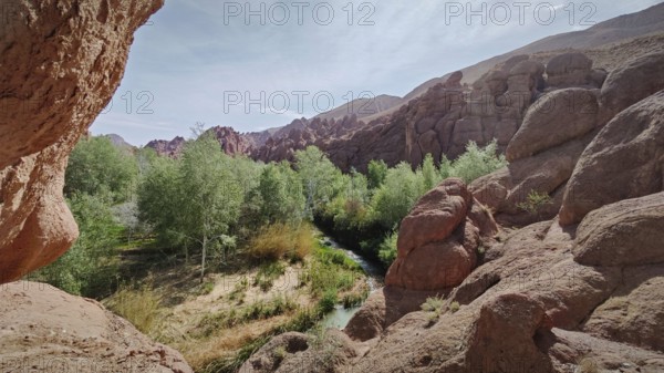 Idyllic landscape with a river surrounded by lush vegetation and impressive rock formations, Morocco