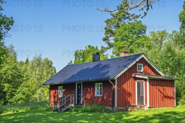 Red wooden country house with dark roof on green lawn surrounded by trees and forest under clear blue sky a sunny summer day, Sweden