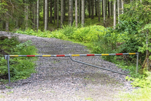 Road barrier gate blocking a gravel forest road surrounded by dense green coniferous trees in the summer