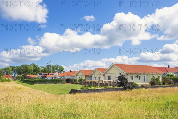 Residential houses with gardens and wooden facades along a green meadow under blue sky with white clouds in a suburban area a summer day, Falköping, Sweden