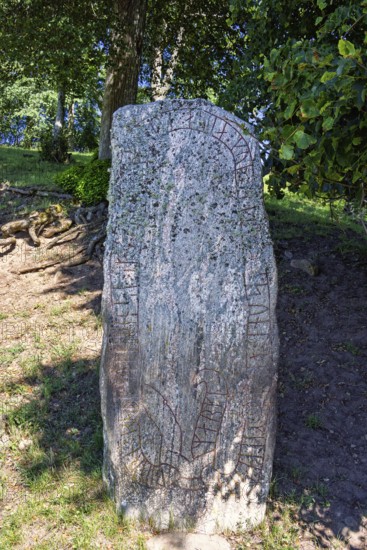 Runestone with carved runes symbols standing on forest ground by a forest, Hornborgasjön, Sweden