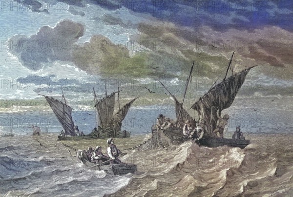 Fishermen at sardine catch near the coast of Brittany, France/Fishermen at sardine catch near the coast of Brittany, France, historical, digitally restored reproduction of an original original from the 19th century, exact original date not known, subsequently colored