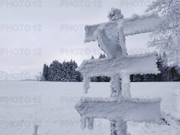 Icy trail sign covered with snow in winter with trees, Rennsteig, Frankenwald nature park Park