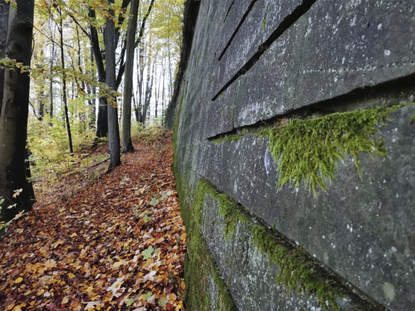 A path in autumn forest along a mossy wall, fortress surrounded by colorful foliage, Franconian Forest nature park Park