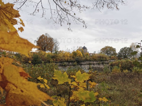 View through autumn leaves of trees and a fortress in the background, Rosenberg Fortress, Kronach, Frankenwald nature park Park