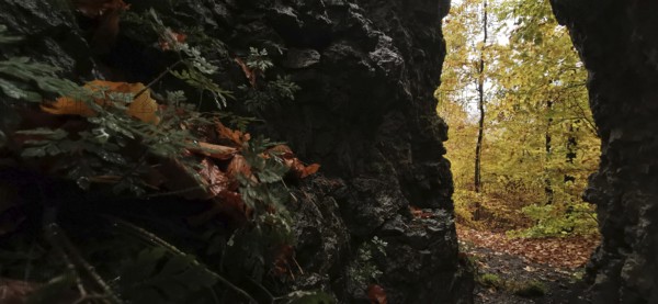 View from a dark cave of bright autumn leaves and trees, Franconian Forest nature park Park