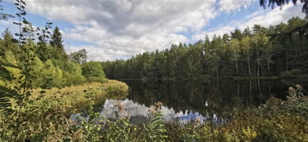Calm lake with forest reflections under blue skies, Franconian Forest nature park Park