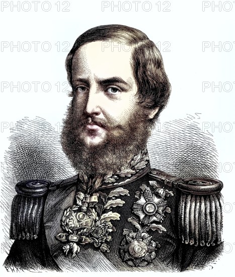 Dom Pedro II, Peter II, 1825 - 1891, the magnanimous, the second and last ruler of the Empire of Brazil/Dom Pedro II, the Magnanimous, the second and last ruler of the Empire of Brazil, historical, digitally restored reproduction of an original model from the 19th century, exact original date unknown, colored later
