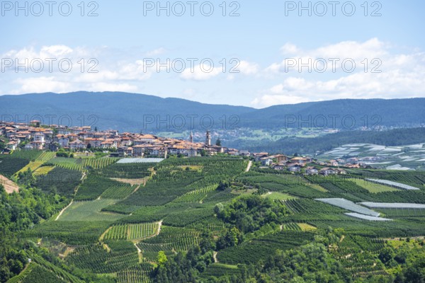 View of town, Varollo-Scanna village with fields and vineyards, Trentino, Italy