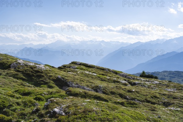 View of the Adamello Group from the Grosté Plateau, Brenta-Adamello Natural Park, Trentino, Italy