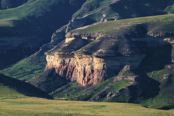 Mushroom Rock, grassland with sandstone cliffs and cliffs, landscape in Golden Gate Highlands National Park, Free State, South Africa