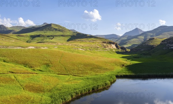 Langtoon Dam, reservoir, grassland with sandstone cliffs and cliffs, landscape in Golden Gate Highlands National Park, Free State, South Africa