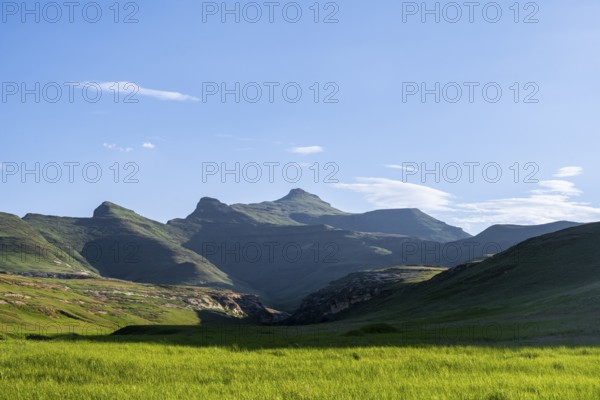 Grassland, landscape in Golden Gate Highlands National Park, Free State, South Africa
