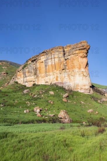 Brandwag Buttress, grassland with sandstone cliffs and cliffs, landscape in Golden Gate Highlands National Park, Free State, South Africa