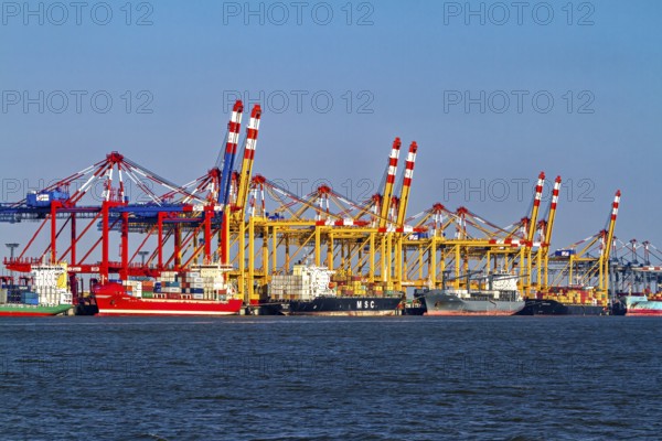 A busy port full of colorful cranes and container ships lying on the shore, The cranes of Bremen's industrial port