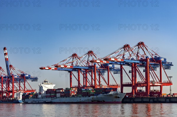 Cargo ship is unloaded by red and blue cranes in the harbor, everything under a blue sky, The cranes of the Bremen industrial port